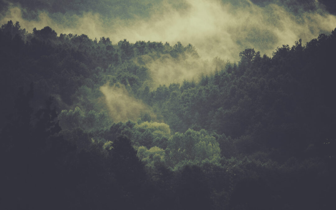 A photo by Carmine De Fazio. unsplash.com/photos/3ytjETpQMNY